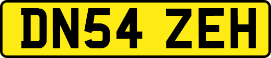 DN54ZEH