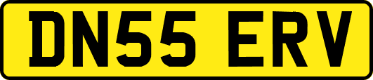 DN55ERV