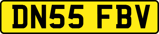 DN55FBV