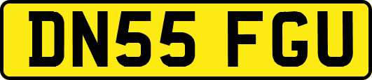 DN55FGU