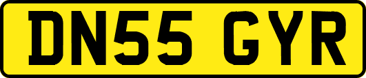 DN55GYR