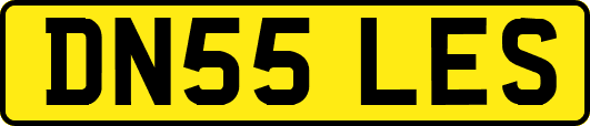 DN55LES