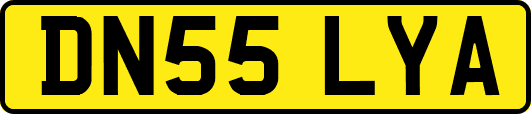 DN55LYA