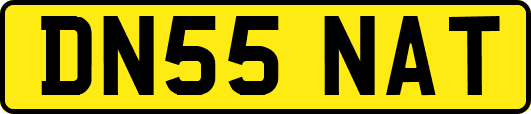 DN55NAT