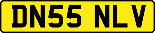 DN55NLV