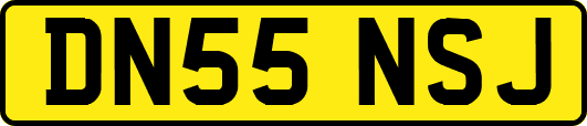 DN55NSJ