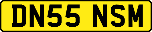 DN55NSM