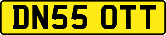 DN55OTT