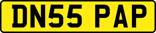 DN55PAP