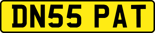 DN55PAT