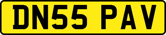 DN55PAV