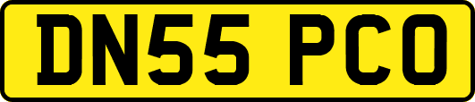 DN55PCO