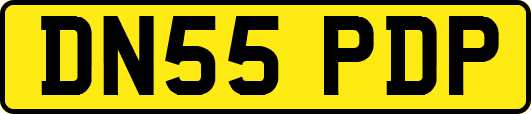 DN55PDP