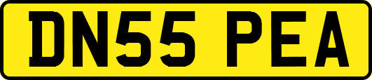 DN55PEA