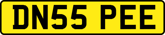 DN55PEE