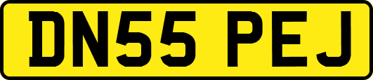 DN55PEJ