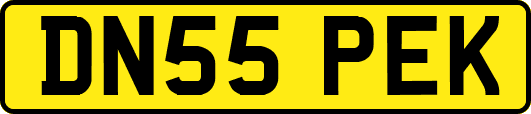 DN55PEK