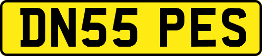 DN55PES