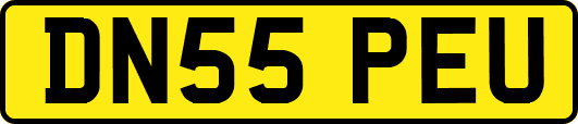 DN55PEU