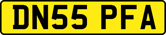 DN55PFA