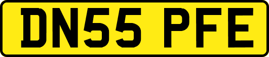 DN55PFE