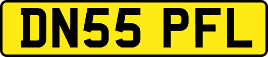 DN55PFL