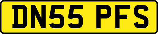 DN55PFS