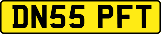 DN55PFT