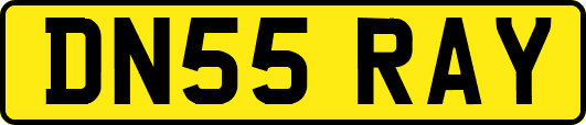 DN55RAY