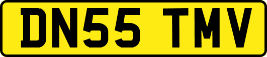 DN55TMV