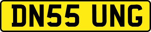 DN55UNG