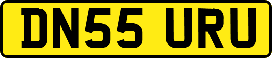 DN55URU