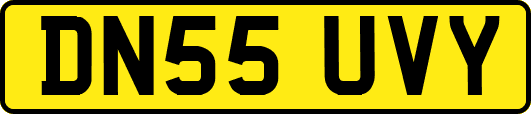 DN55UVY