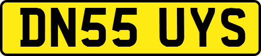 DN55UYS