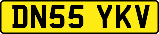 DN55YKV