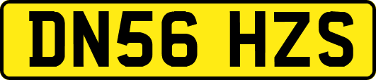 DN56HZS