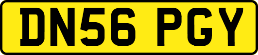 DN56PGY