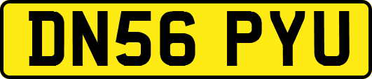 DN56PYU