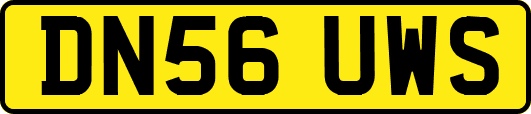 DN56UWS