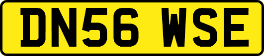 DN56WSE