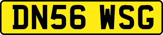 DN56WSG