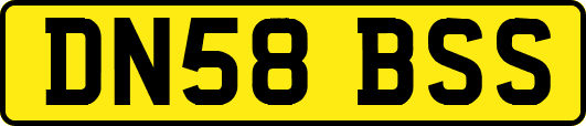 DN58BSS