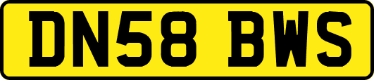 DN58BWS