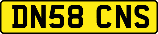 DN58CNS