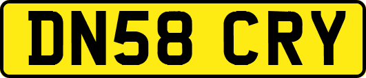 DN58CRY