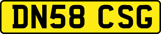 DN58CSG