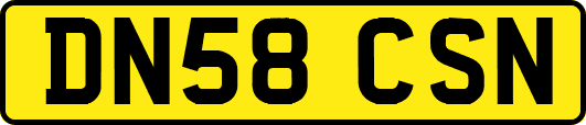 DN58CSN