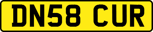DN58CUR