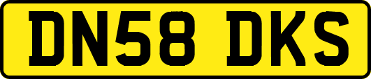 DN58DKS