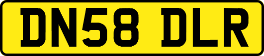 DN58DLR